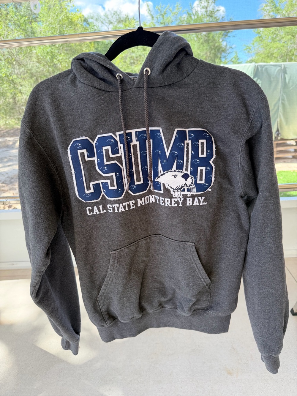 Champion Eco CSUMB Cal State Monterey Bay Otters Hoodie Sweatshirt Small